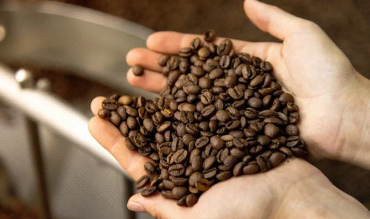 Roastify: The On-Demand provider of Roasted Coffees to Good Brew